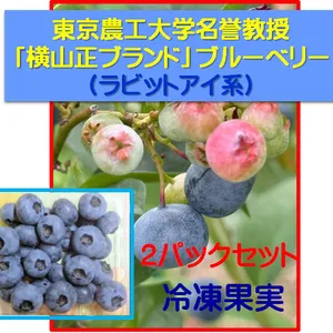 ブルーベリー冷凍果実ラビットアイ2パック：東京農工大学名誉教授「横山正ブランド」