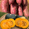 【期間限定】くりりん南瓜５㎏＋紅はるか５㎏
