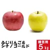 ふじりんご&シナノゴールド【贈答用5kg】2種食べ比べ☆10月下旬頃出荷予定