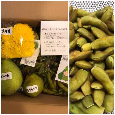 みんなの投稿の画像