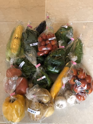 みんなの投稿の画像