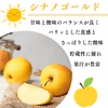 シナノゴールド りんご パリパリ食感 訳あり  3kg 5kg 10kg