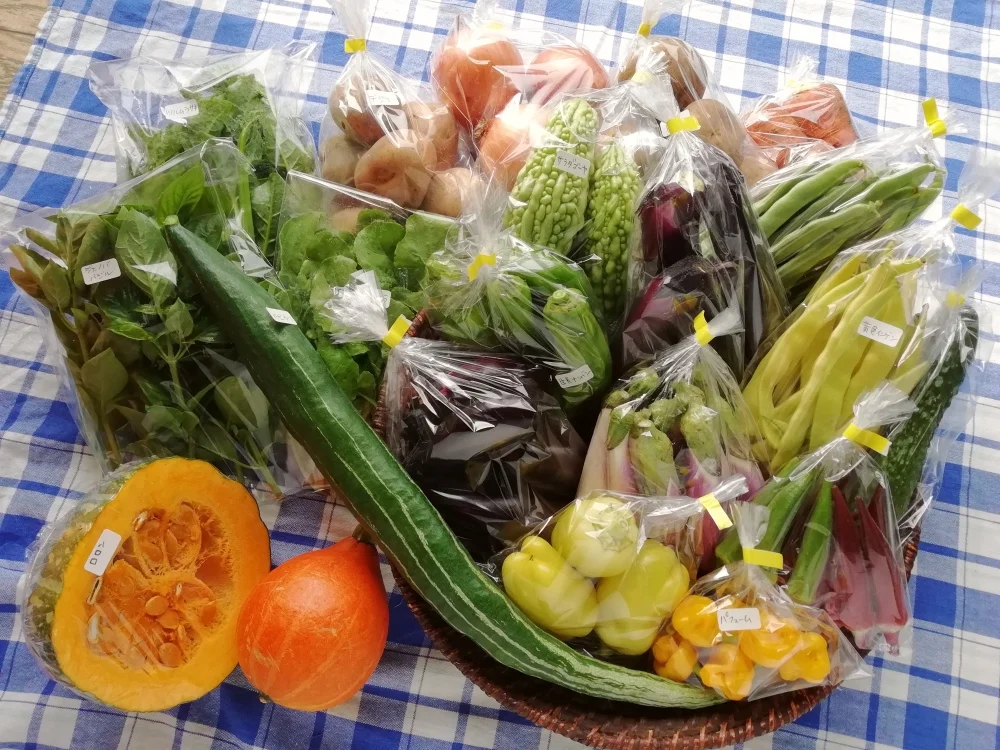 福がある野菜セット《農薬不使用》