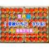 【35玉/着指定可能】青森県下北産　夏秋いちご「すずあかね/赤い妖精」【業務用】