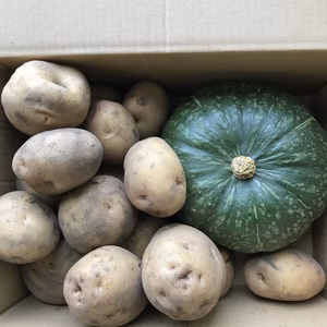 鳥取大山山麓じゃがいもとかぼちゃのホクホク5キロセット