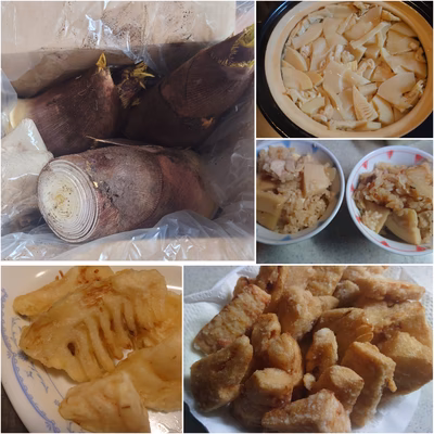 みんなの投稿の画像