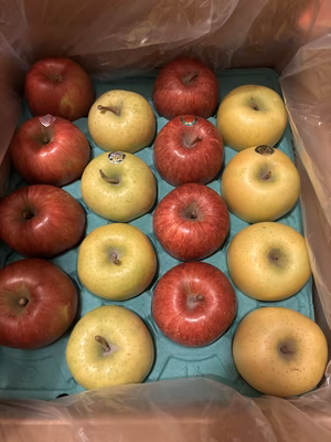 みんなの投稿の画像