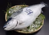 【真空-60冷凍】刺身がうまい！！輝サーモン200g柵