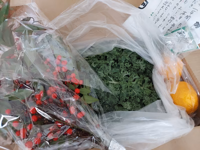 みんなの投稿の画像