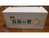 【冬ギフトにも♪】鳥取県産　王秋