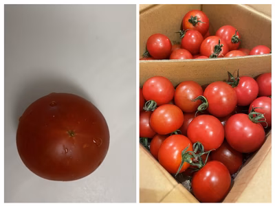 みんなの投稿の画像