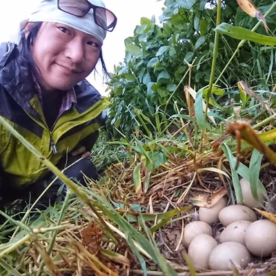 みんなの投稿の画像