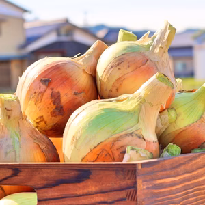 『大好評！』加熱するとまるでフルーツ！訳あり【淡路島産】たまねぎ (5kg)