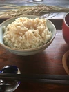 [合鴨米]玄米1kg 令和元年産 栽培期間中農薬不使用 熊本県産 ヒノヒカリ