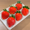 朝採れとちあいか　いちご生産量日本一の街からお届けします★