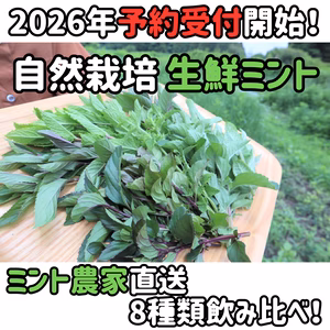 【予約受付限定】生鮮ミント食べ(飲み)比べ８種セット！