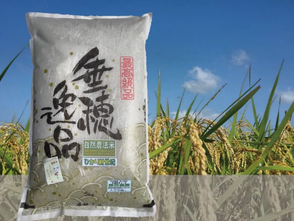 ★新米★【自然栽培米】玄米 13.5kg ヒノヒカリ 福岡県産 令和元年度産米