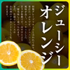 【送料無料・ご家庭用】河内晩柑