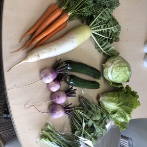 無農薬野菜セット 80サイズ 8品