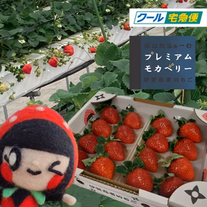 【減農薬】一箱 『プレミアムモカベリー 』 苺 いちご イチゴ
