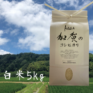 【農薬・化学肥料不使用】令和2年産-加賀のコシヒカリ白米5㎏
