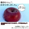 【好評】春待ちりんご（訳あり　3kg）減農薬栽培