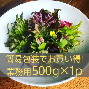 業務用500g×1【違いはわかります！】10種のヨーロピアンリーフミックス