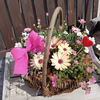 贈答用にも★花バスケット寄せ植え★Mサイズ幅３０センチ程度