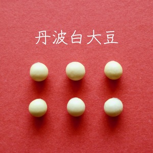 【丹波白大豆　２００g】豆ご飯にすれば栗ご飯に！