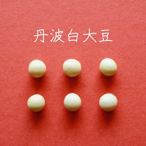 【丹波白大豆　２００g】豆ご飯にすれば栗ご飯に！