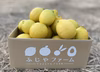 【島から贈る爽やかな香り！】大崎上島産イエローレモン