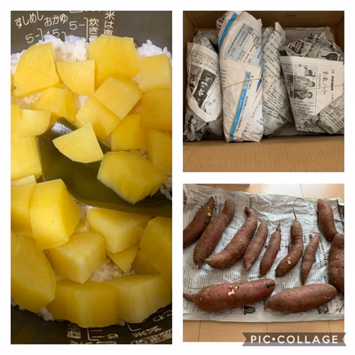 みんなの投稿の画像