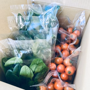 各種5パック入りサラダほうれん草&小さなフルティカトマト