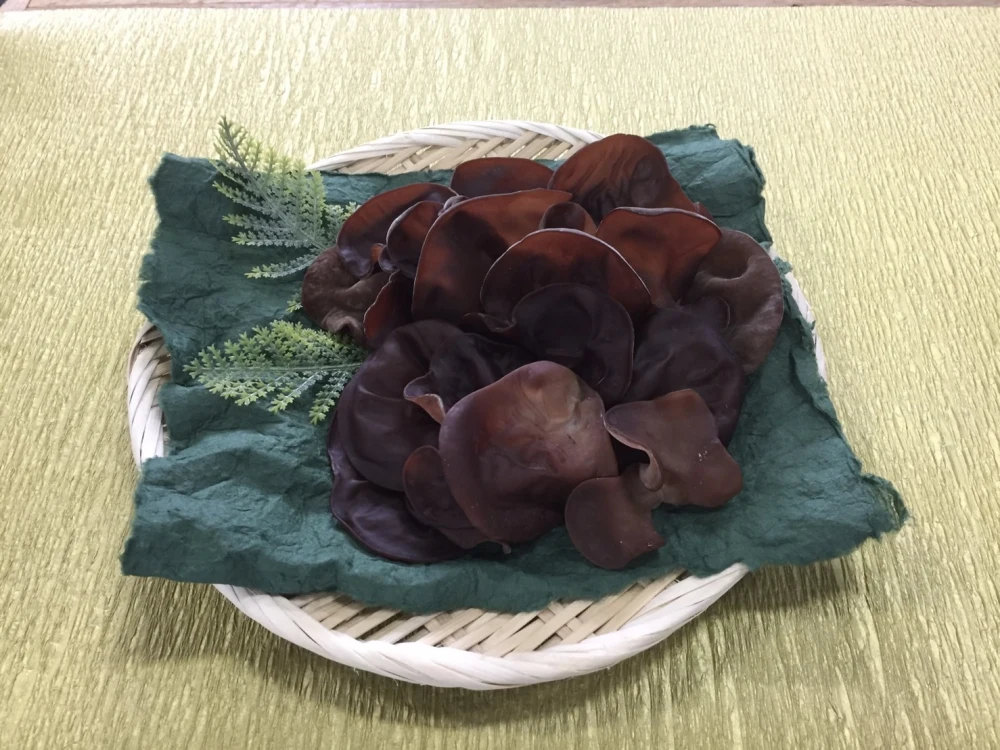 収穫過多！　たくさん採れたあらげきくらげ　乾燥あらげきくらげ　20g ×4袋　