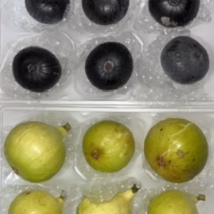 　本日の朝市❗️コナドリア、LSUエバーピーリング&ビオレソリエス極小玉