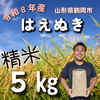 令和8年産9月下旬～順次発送❗庄内米　はえぬき　精米5㎏