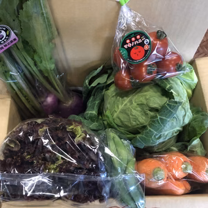 Ⓐ静岡厳選野菜セット 6品　本州のみ対応（火曜・金曜発送日）