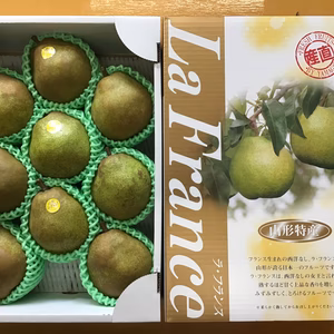 山形のラフランス　4Lサイズ9玉【贈答用】