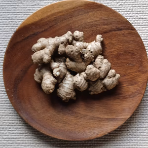 【親生姜】農薬化学肥料不使用の房州中太生姜