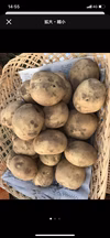 宮崎県綾町産 ホクホクじゃがいも【無農薬】