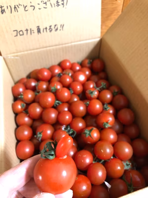 みんなの投稿の画像