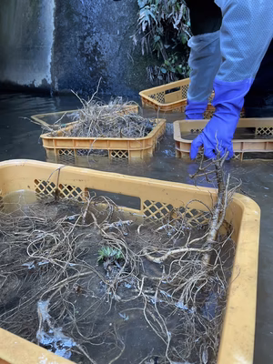 みんなの投稿の画像