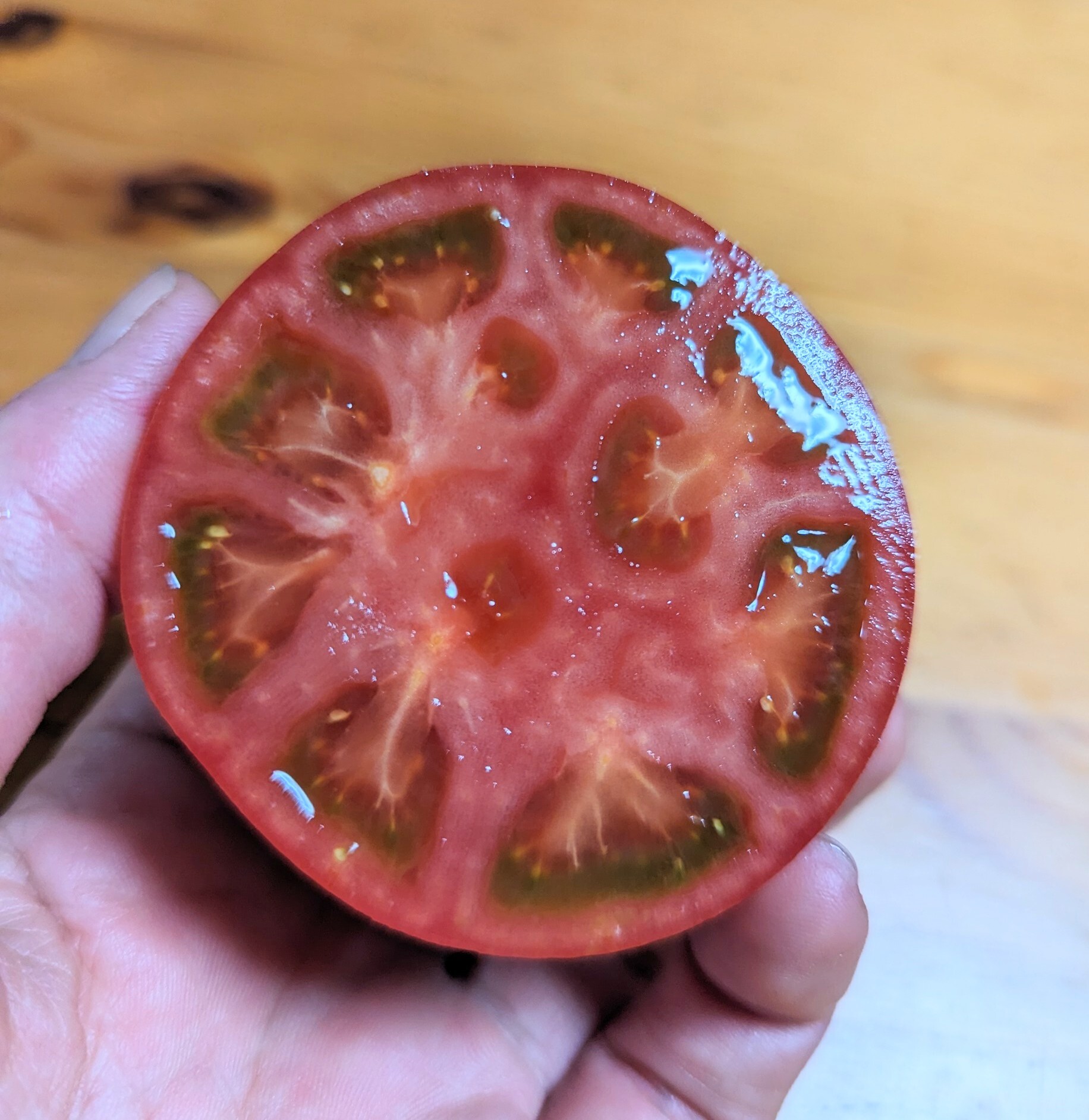 あいちの伝統野菜】ファーストトマト 今や幻！バランス絶妙トマト