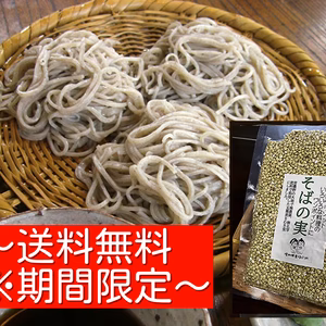 【そばの実付き】農家そば屋で人気の無農薬、無化学肥料、無添加の生そば（２人前～）