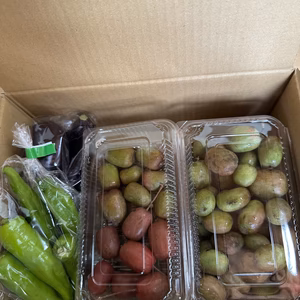 ベビーキウイ詰め合わせ