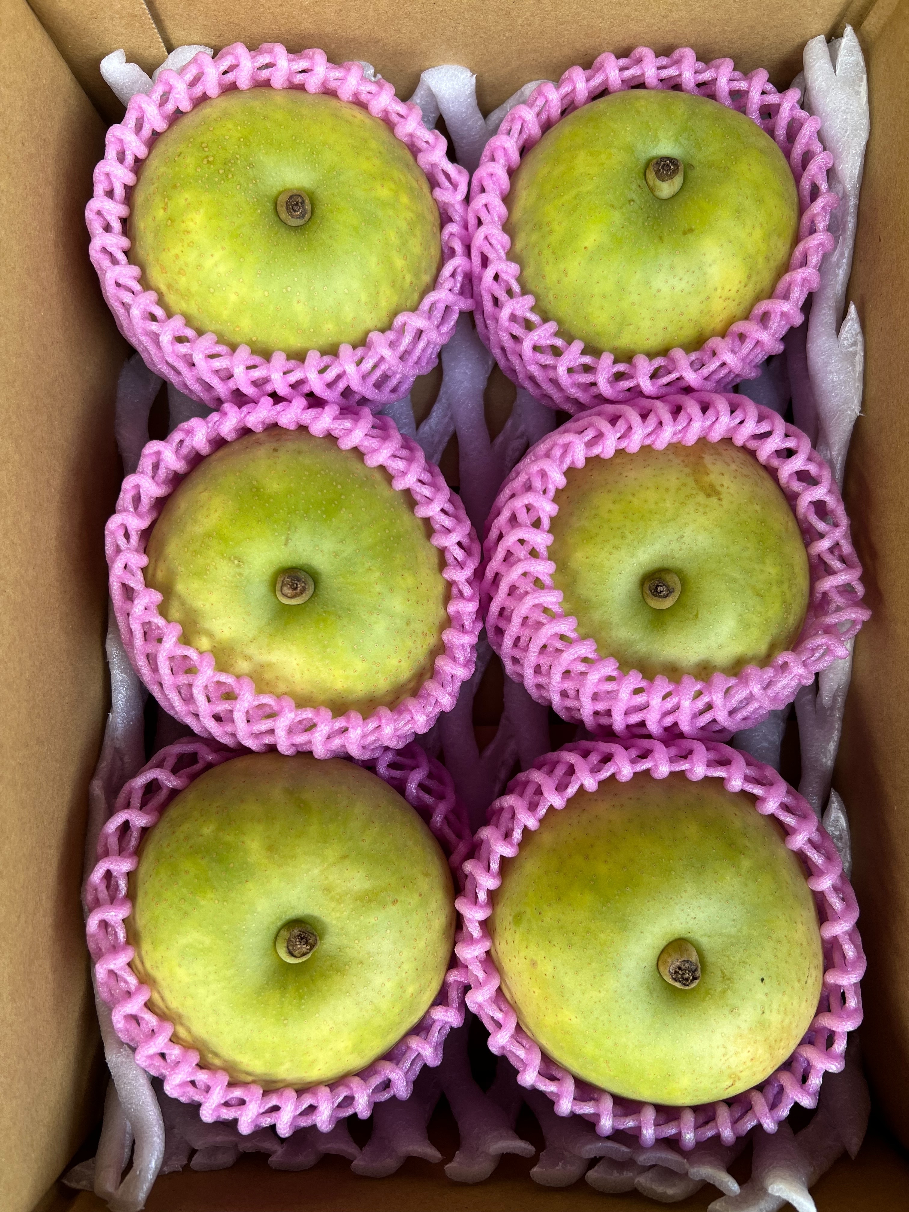 鳥取120年超の伝統の味 20世紀梨 3キロ 一箱 6玉