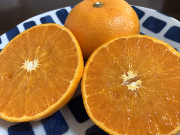 愛媛県産せとか【訳あり】