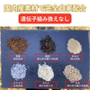【お試し】完全自家配合！とれたて平飼い有精卵