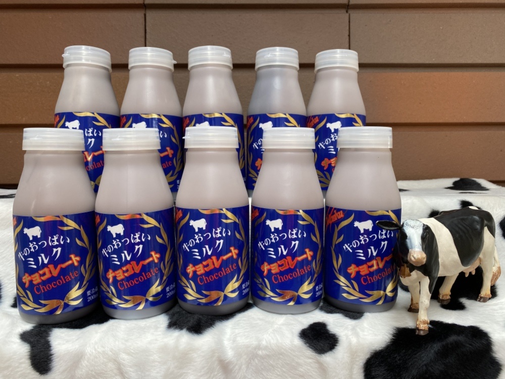 牛のおっぱいチョコレートミルク 10本 15本 20本セット 農家漁師から産地直送の通販 ポケットマルシェ