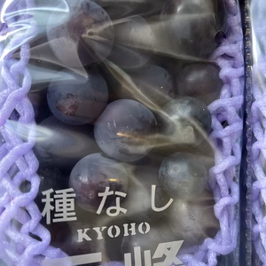 完熟した巨峰は非常にデリケートですが、とても濃厚な甘くて美味しいです！！